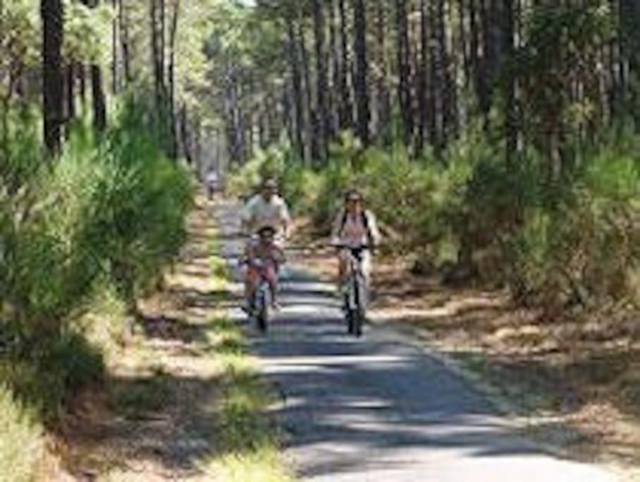 Maison De Vacances 4/5 Personnes A Leon, Landes Exteriér fotografie
